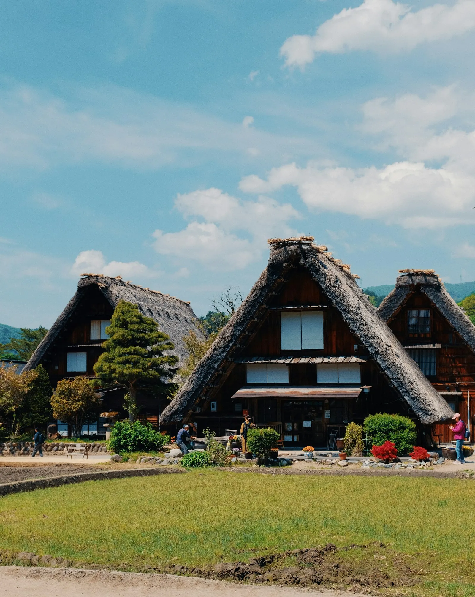 Thatched gassho-zukuri farmhouses in Shirakawa-go
